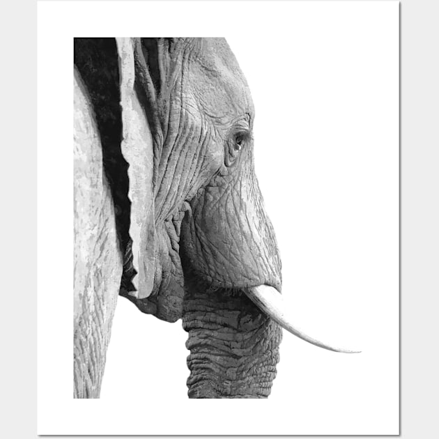 Black and White Elephant Portrait Wall Art by Alemi